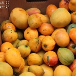 Mango-Kiwi-Konfitüre bzw Marmelade