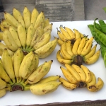 Kokos Bananenkuchen mit Buttermilch - vegetarisch