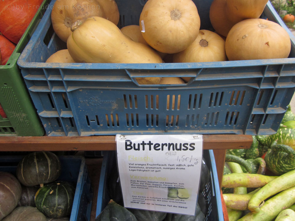 Butternuss-Kuerbis-01