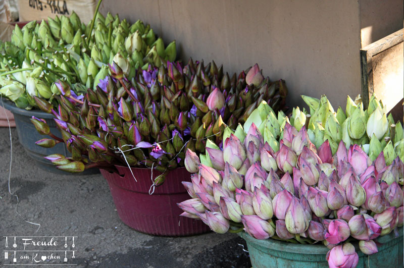 Lotusblüten - Sri Lanka Freude am Kochen