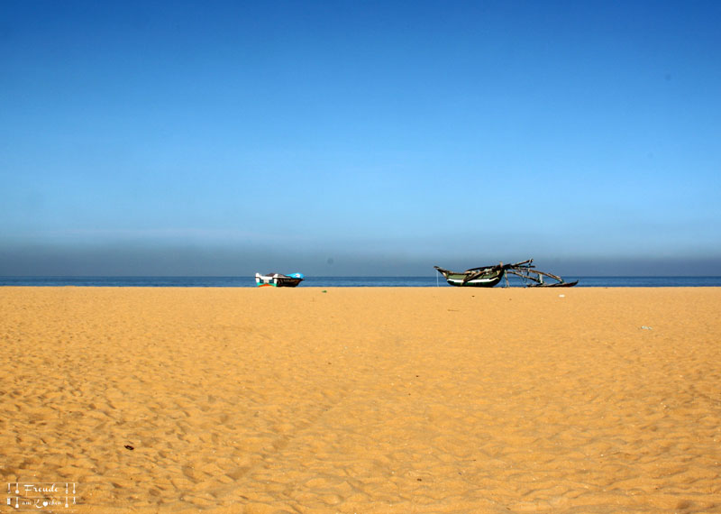 Jetwing Beach - Reisebericht Sri Lanka - Negombo - Freude am Kochen