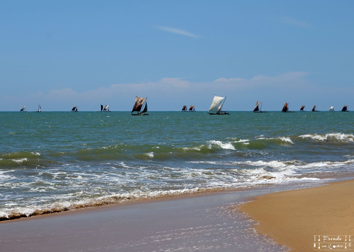 Reisebericht Sri Lanka - Negombo - Freude am Kochen