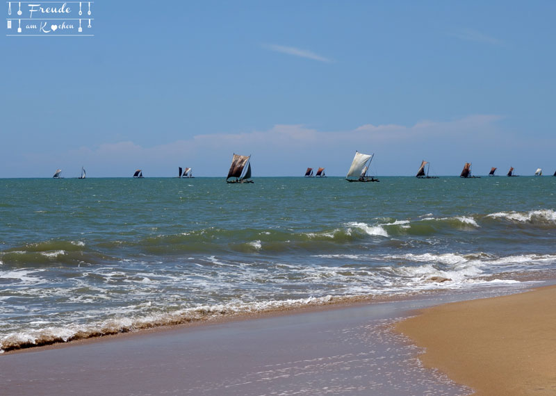 Jetwing Beach - Reisebericht Sri Lanka - Negombo - Freude am Kochen