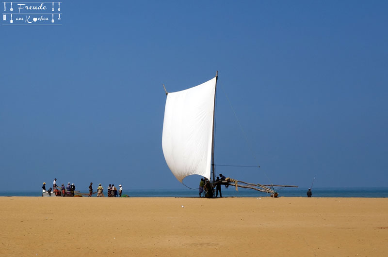 Reisebericht Sri Lanka - Negombo - Freude am Kochen