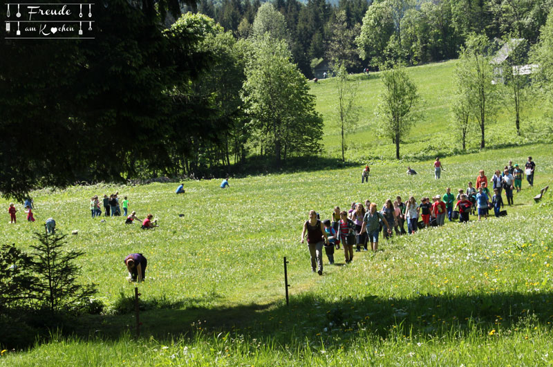 Abseits vom Narzissen Fest in Bad Aussee & am Grundlsee - Freude am Kochen