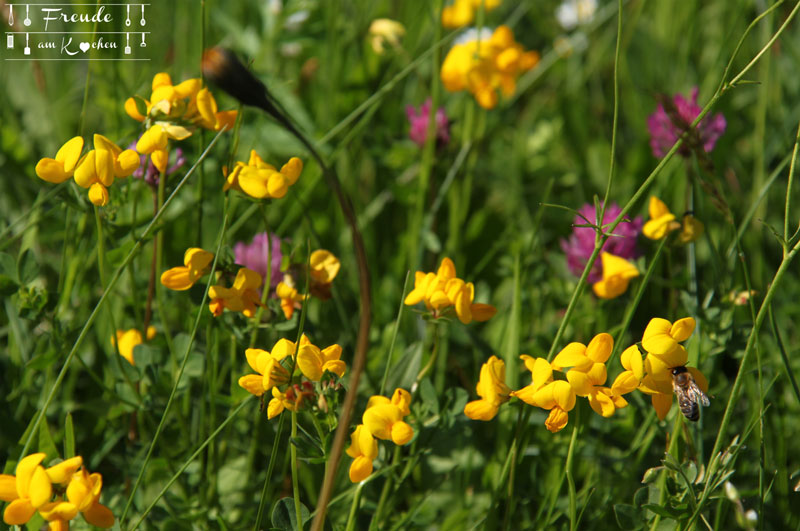 Blumen - Toplitzsee - Gössl - Ausseer Land - Freude am Kochen - Reisebericht