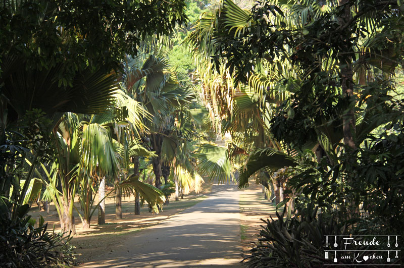 Botanischer Garten -- Kandy - Reisebericht Sri Lanka - Freude am Kochen