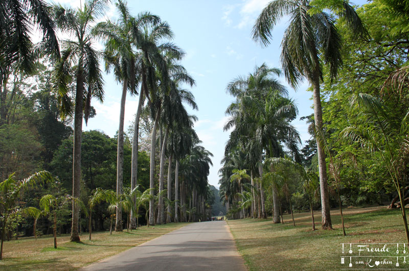 Botanischer Garten -- Kandy - Reisebericht Sri Lanka - Freude am Kochen