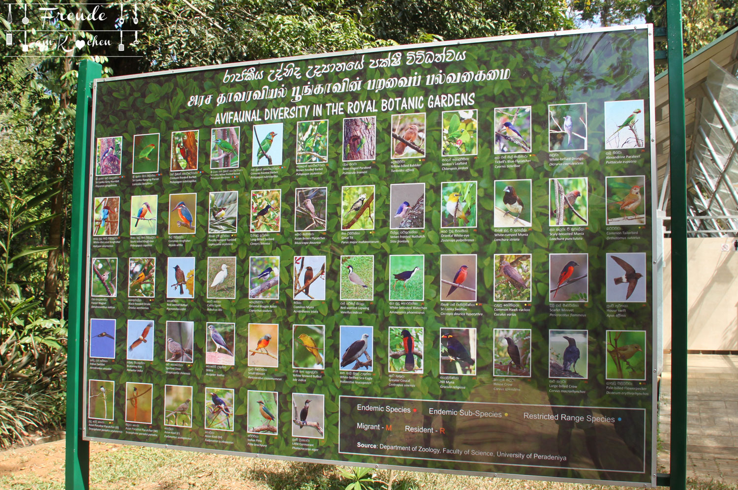 Botanischer Garten -- Kandy - Reisebericht Sri Lanka - Freude am Kochen