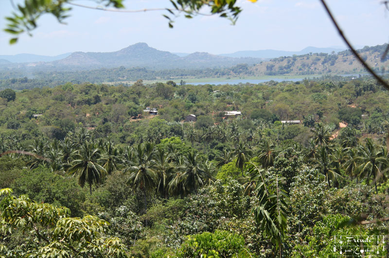 Dambulla - Reisebericht Sri Lanka - Freude am Kochen