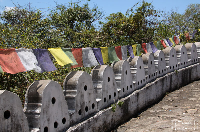 Dambulla - Reisebericht Sri Lanka - Freude am Kochen