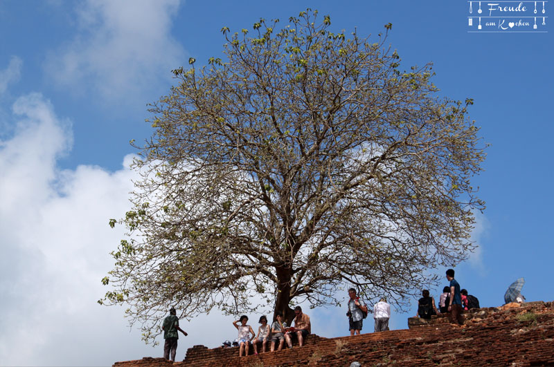 Sigiriya - Reisebericht Sri Lanka - Freude am Kochen