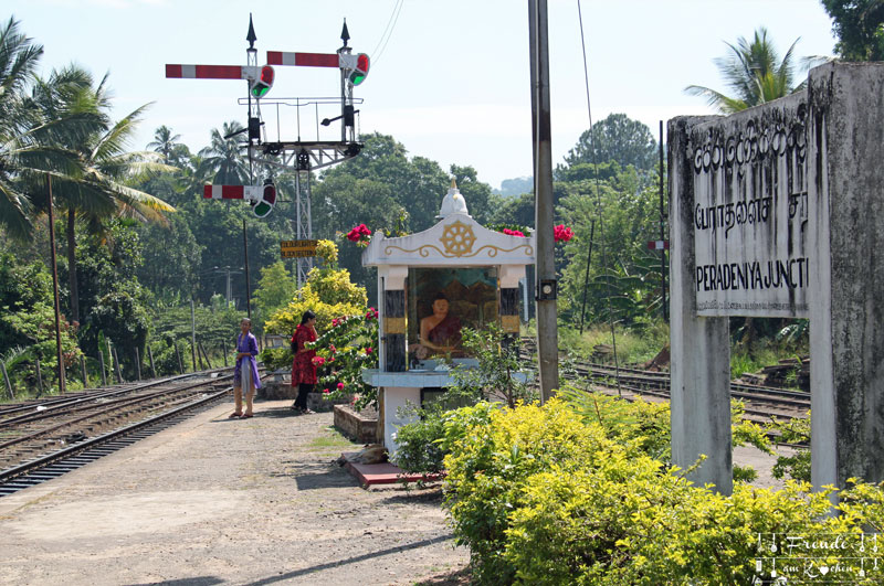 Zugfahrt Hochland - Reisebericht Sri Lanka - Freude am Kochen