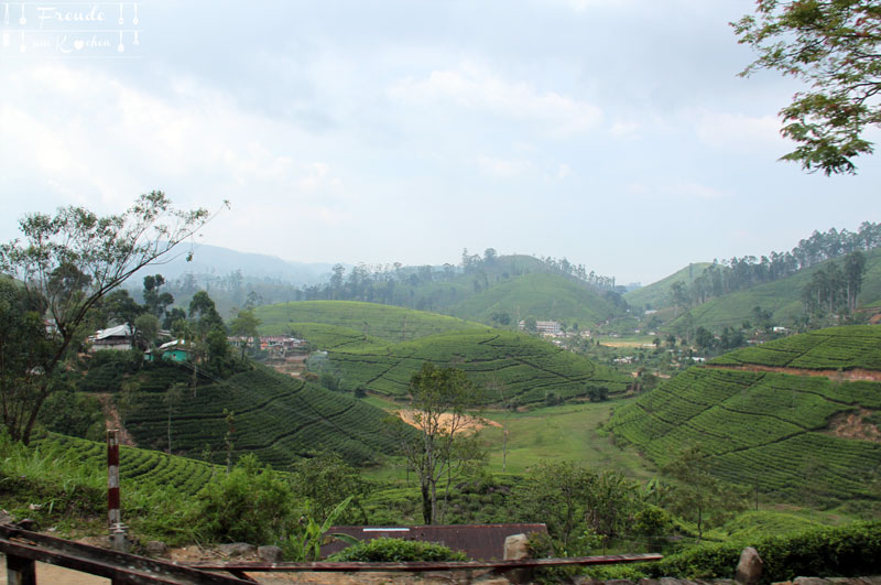 Zugfahrt Hochland - Reisebericht Sri Lanka - Freude am Kochen