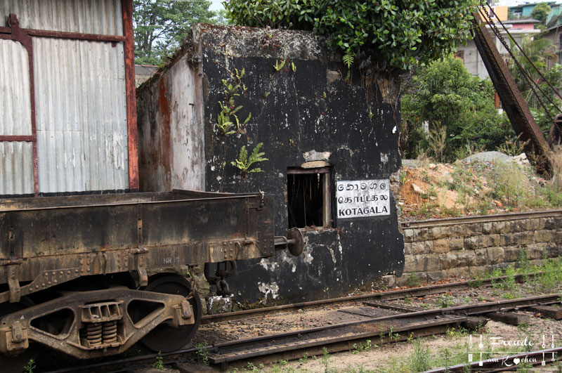 Zugfahrt Hochland - Reisebericht Sri Lanka - Freude am Kochen