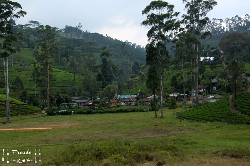 Zugfahrt Hochland - Reisebericht Sri Lanka - Freude am Kochen