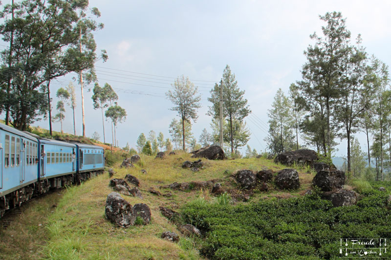 Zugfahrt Hochland - Reisebericht Sri Lanka - Freude am Kochen