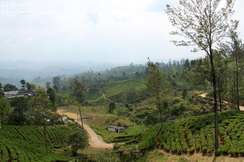 Zugfahrt Hochland - Reisebericht Sri Lanka - Freude am Kochen