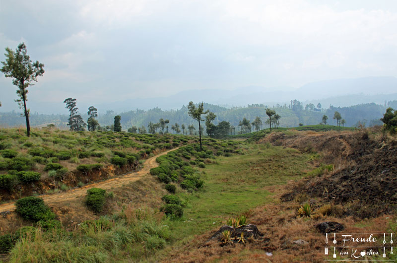 Zugfahrt Hochland - Reisebericht Sri Lanka - Freude am Kochen