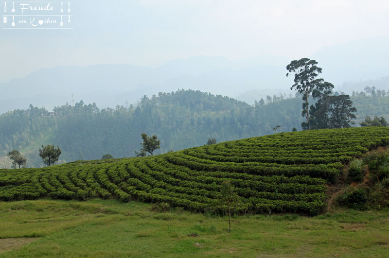 Zugfahrt Hochland - Reisebericht Sri Lanka - Freude am Kochen