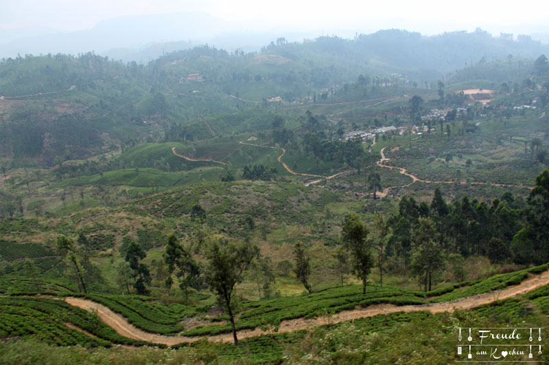 Zugfahrt Hochland - Reisebericht Sri Lanka - Freude am Kochen