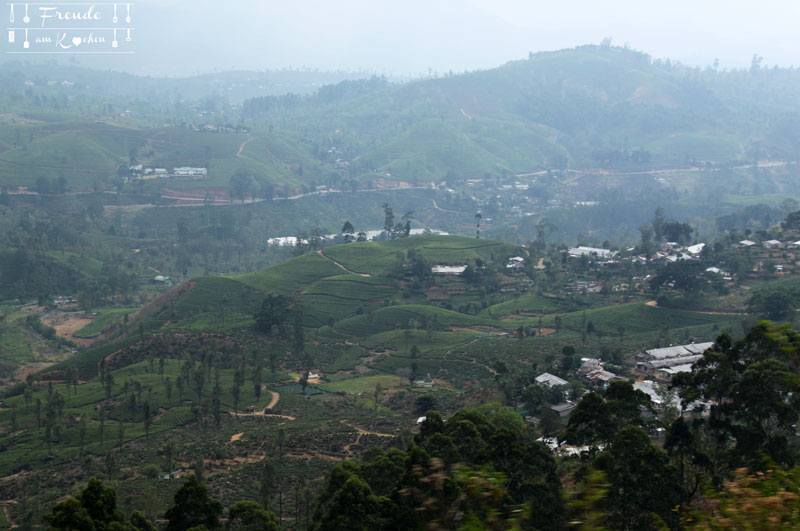 Zugfahrt Hochland - Reisebericht Sri Lanka - Freude am Kochen