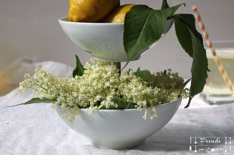 Holunderblüten Essig selbermachen - Freude am Kochen