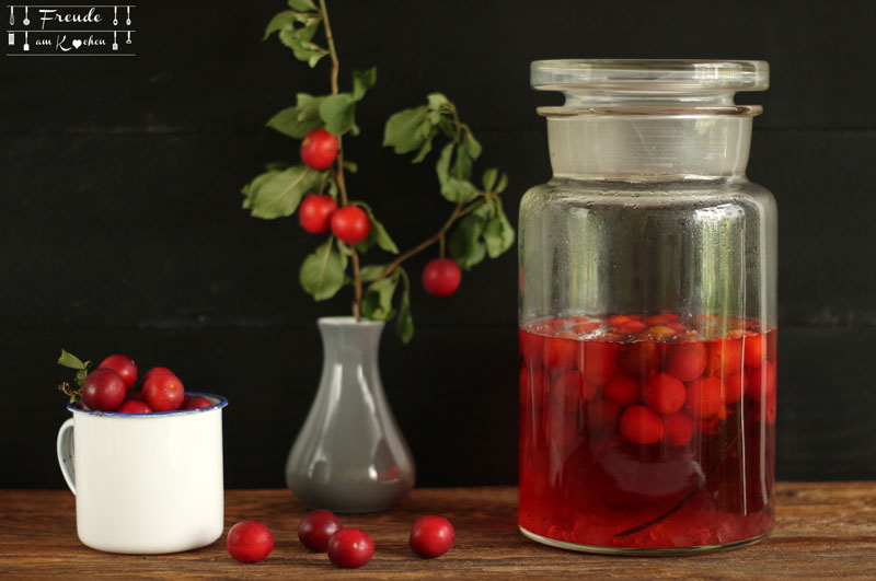 Kriecherl Mirabellen Likör - Reneclauden - Ringlotten - Kirschpfalumen Liqueur - Rezept vegan - Freude am Kochen