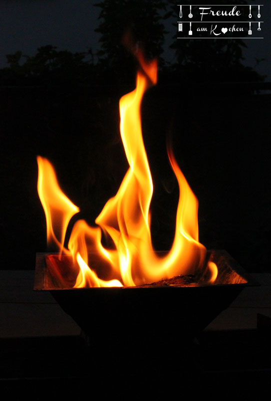 Agnihotra - vedisches Feuerritual für Mensch und Erde - Freude am Kochen - Homa
