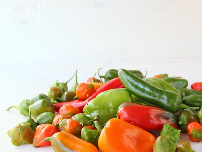 September Saisonkalender - Was hat im September Saison - Freude am Kochen