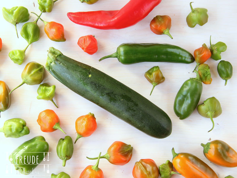 September Saisonkalender - Was hat im September Saison - Freude am Kochen