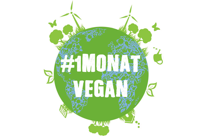 1 Monat vegan - Blogparade - Freude am Kochen