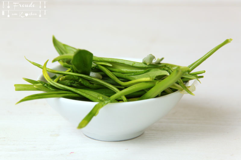 Wildkräuter - Bärlauch - Freude am Kochen