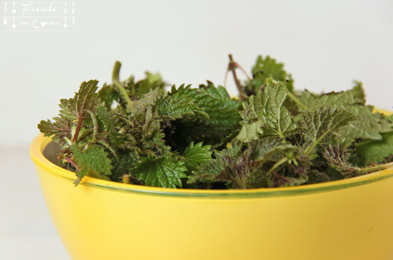 Wildkräuter - Brennessel - Freude am Kochen