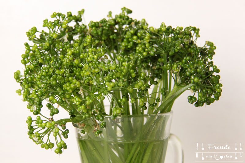 Bärlauchsamen Kapern und Bärlauch Samen in Öl - Freude am Kochen vegan