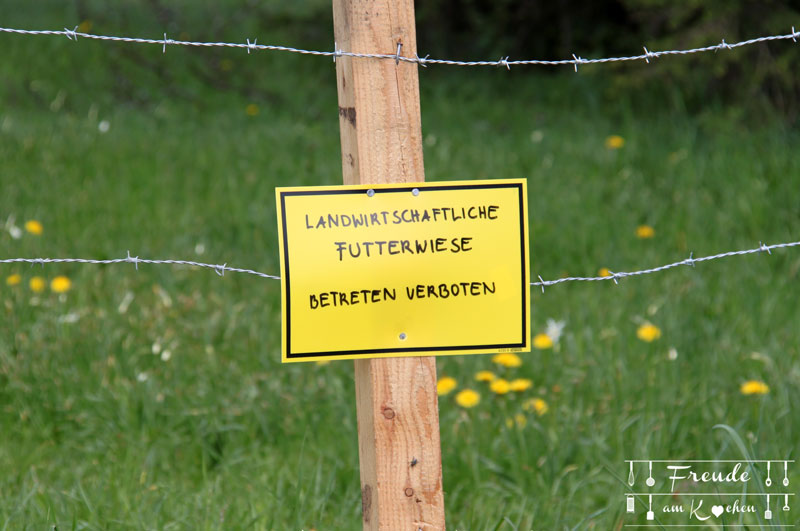 Ausseer Land - Wiesenweg Blaa Alm - Freude am Kochen