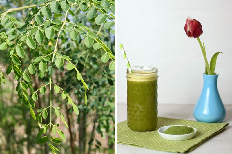 Moringa Orangen Drink - Superfood - Freude am Kochen vegan