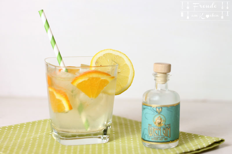 Gin Tonic - Freude am Kochen