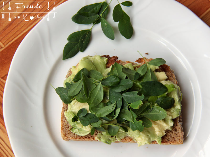 Frühstück auf Teneriffa - Avocado Brot mit frischem Moringa - Freude am Kochen vegan