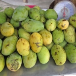 Mango Topfencreme indisch - vegetarisch