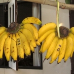 Nektarinen Bananen Lassi  - vegetarisch