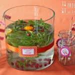 Raspberry Mint Infused Water - Wasser mit Himbeer Minz Aroma