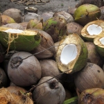 59 Benefits von Kokosöl - Kokos als Superfood