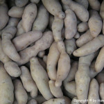 Kartoffelsalat – vegetarisch veganisierbar