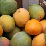 Mangokompott