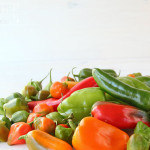 Griechisch gebratene Paprika