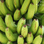 Bananenbrot in der Brotbackmaschine – vegetarisch