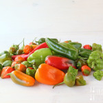 Salat mit gebratenem grünen Spargel und buntem Paprika