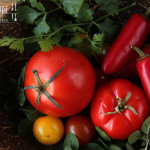 Tomatensuppe – vegetarisch