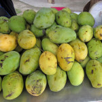 Mango Topfencreme indisch – vegetarisch